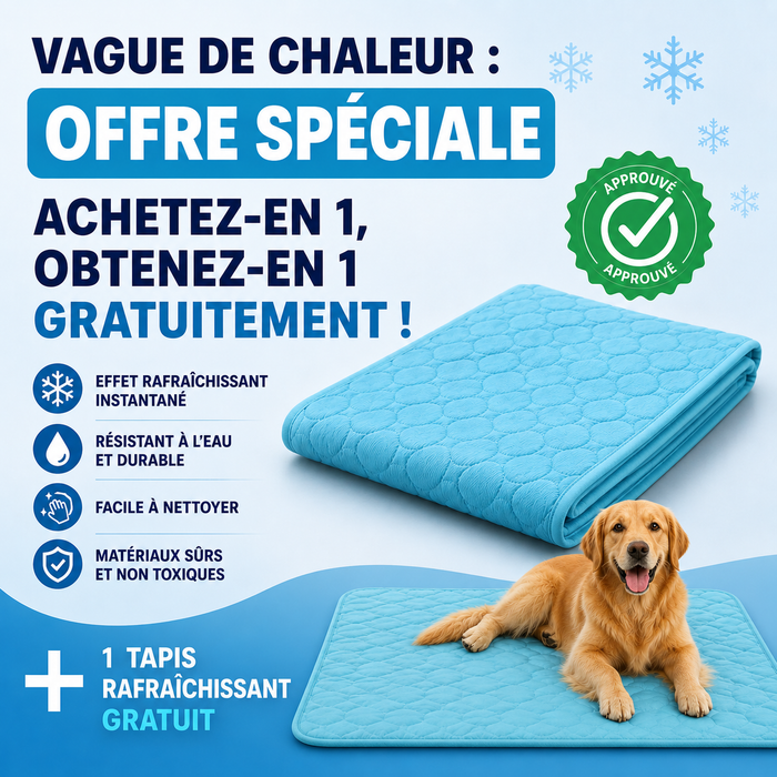 Tapis Rafraîchissant pour Chien  HubCanin™