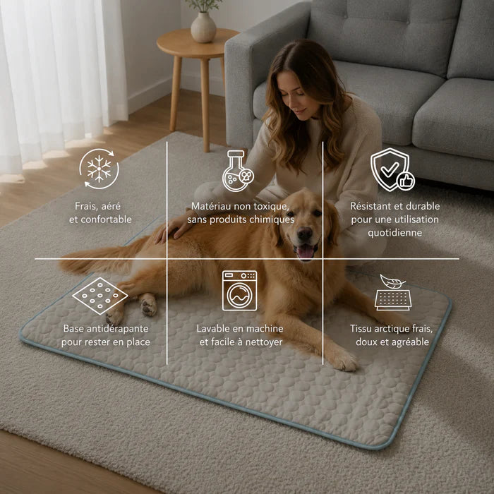 Tapis Rafraîchissant pour Chien  HubCanin™