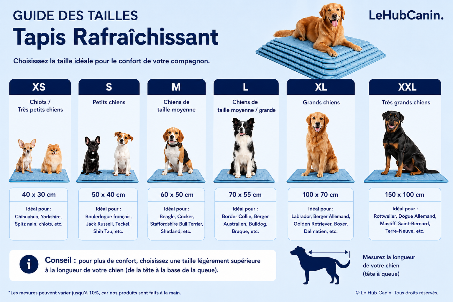 Guide des tailles
