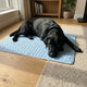1 Tapis Rafraichisant | PawFrais