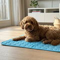 Tapis Raffraichissant chiens chat